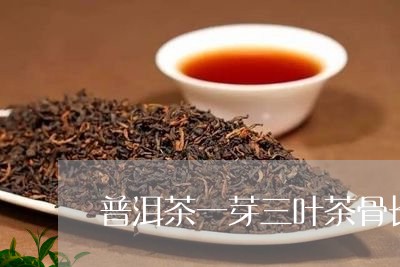 普洱茶一芽三叶茶骨长/2023093007171