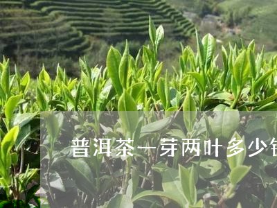 普洱茶一芽两叶多少钱/2023062851605