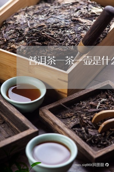 普洱茶一茶一壶是什么茶/2023102495839