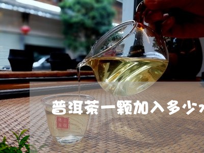 普洱茶一颗加入多少水/2023093022837