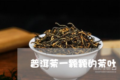 普洱茶一颗颗的茶叶/2023120555048