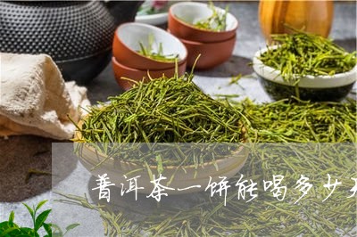 普洱茶一饼能喝多少天/2023061592726