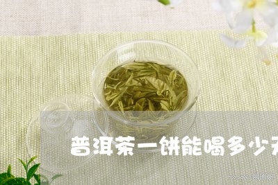 普洱茶一饼能喝多少天/2023072148393