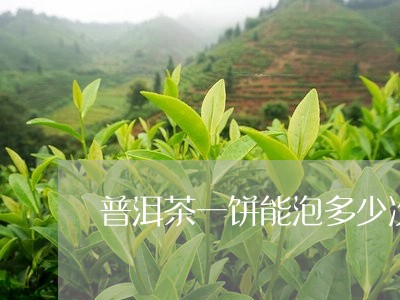 普洱茶一饼能泡多少次/2023092737137