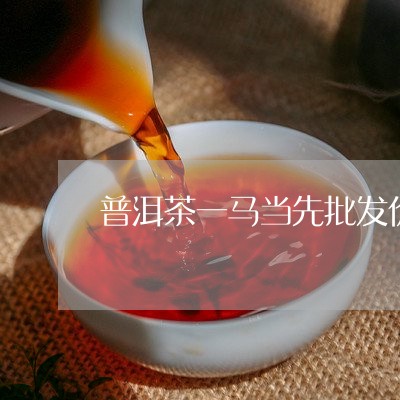 普洱茶一马当先批发价/2023092563935