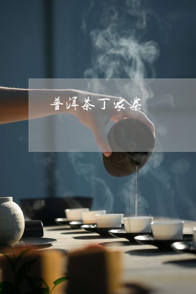 普洱茶丁家寨/2023042917330