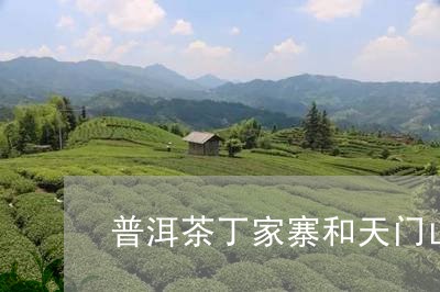 普洱茶丁家寨和天门山/2023092637240