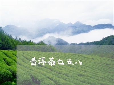 普洱茶七五八/2023042541211