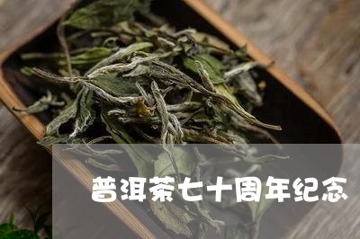 普洱茶七十周年纪念/2023112772582