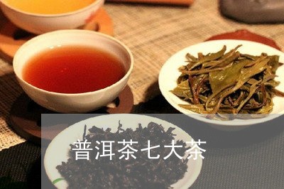 普洱茶七大茶/2023042779489