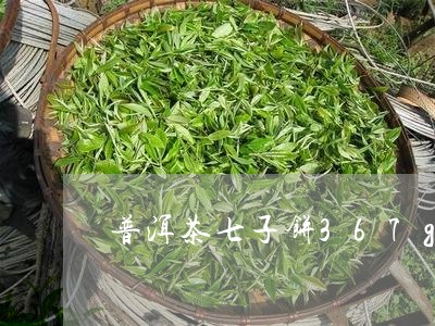 普洱茶七子饼367g/2023061683918