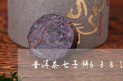 普洱茶七子饼6381/2023100559616