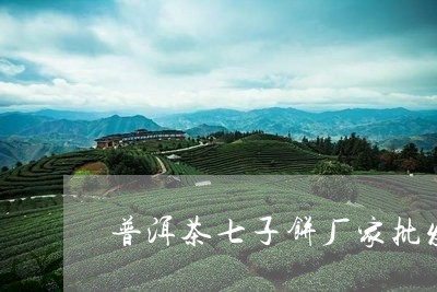 普洱茶七子饼厂家批发/2023062335950