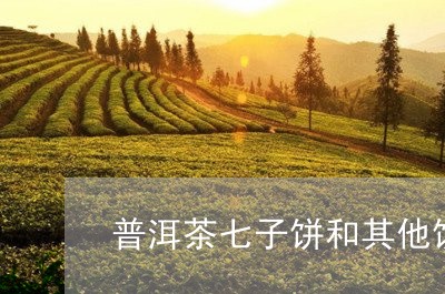 普洱茶七子饼和其他饼的区别/2023082601716