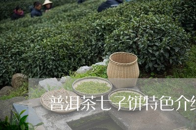 普洱茶七子饼特色介绍词/2023121693258