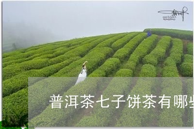 普洱茶七子饼茶有哪些/2023062331581