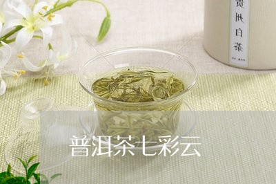 普洱茶七彩云/2023042516910