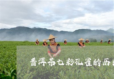 普洱茶七彩孔雀的历史/2023092761917