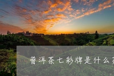 普洱茶七彩牌是什么茶/2023082969580