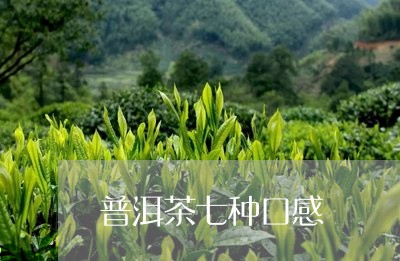 普洱茶七种口感/2023110642614