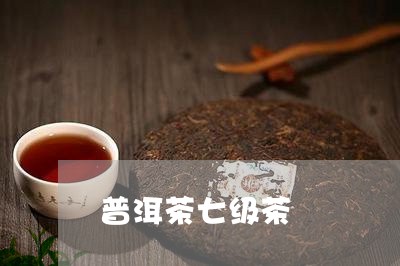 普洱茶七级茶/2023042705182