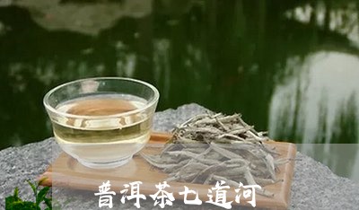 普洱茶七道河/2023042562129