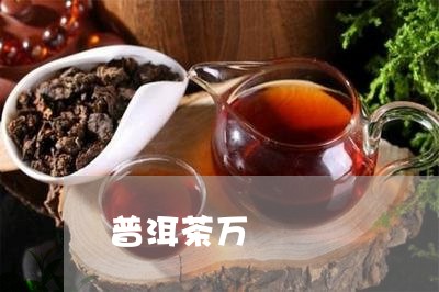 普洱茶万/2023121808251