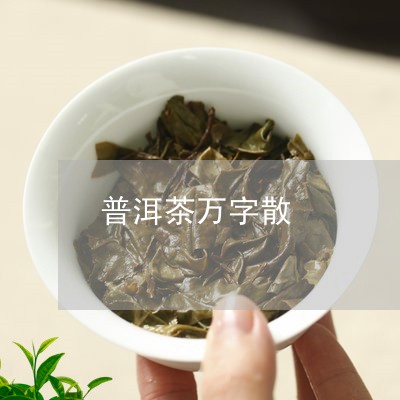 普洱茶万字散/2023090651691