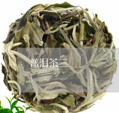 普洱茶三/2023090121705