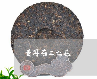 普洱茶三七花/2023042884288