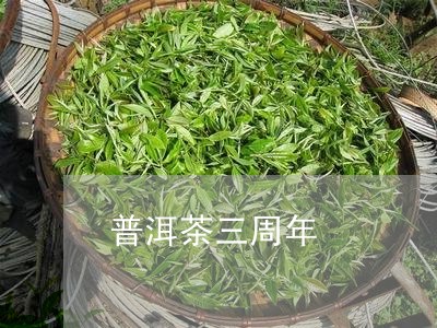 普洱茶三周年/2023112675026