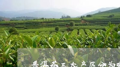 普洱茶三大产区分为哪些山头/2023052715270