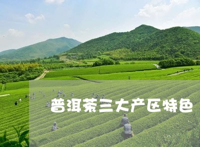 普洱茶三大产区特色/2023120560502