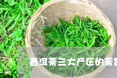 普洱茶三大产区的茶是什么茶/2023082974068