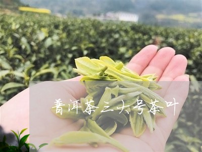 普洱茶三大号茶叶/2023110684969