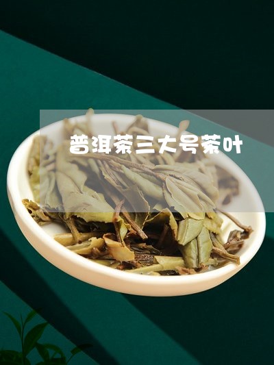 普洱茶三大号茶叶/2023121643735