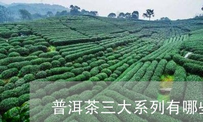 普洱茶三大系列有哪些/2023092812825