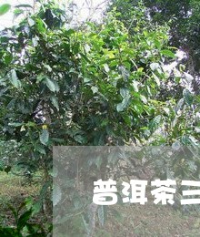 普洱茶三大茶区的著名山头是什么/2023082625848