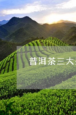 普洱茶三大茶厂是哪些茶/2023082987372