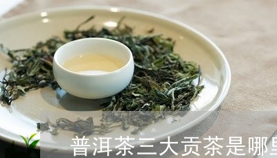 普洱茶三大贡茶是哪里/2023062212514