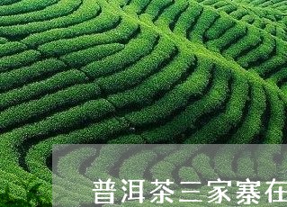 普洱茶三家寨在哪里啊/2023061407493