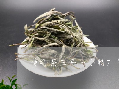 普洱茶三年一小转7年一打转/2023052892958