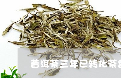 普洱茶三年已转化茶香味/2023112879492