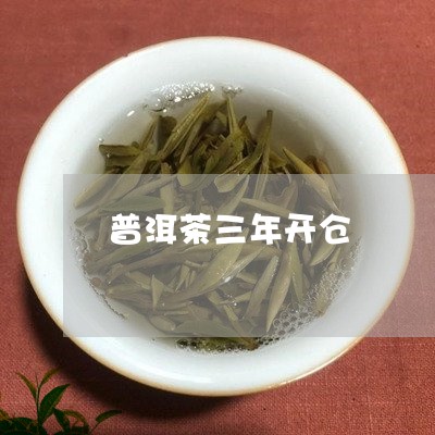 普洱茶三年开仓/2023081572848