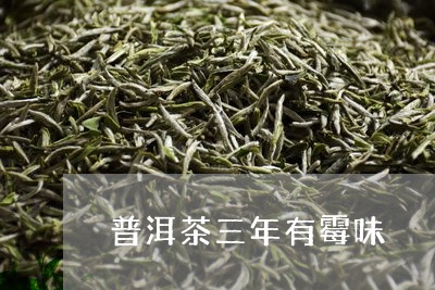 普洱茶三年有霉味/2023120455947