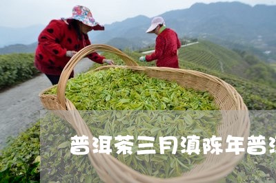 普洱茶三月滇陈年普洱/2023100772694