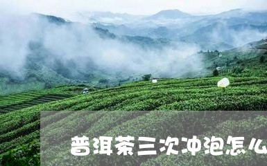 普洱茶三次冲泡怎么冲泡/2023050660483