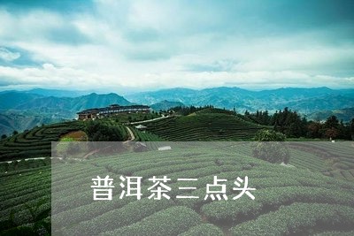 普洱茶三点头/2023090634715