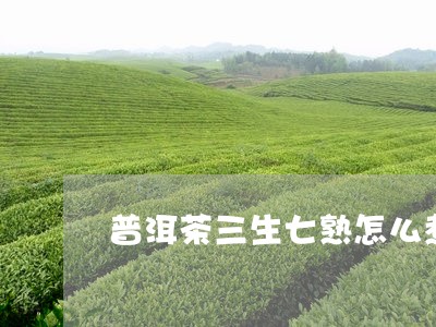 普洱茶三生七熟怎么煮/2023092679591