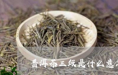 普洱茶三级是什么意思/2023061466272